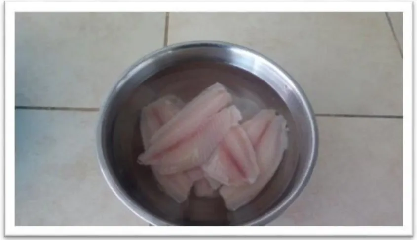 Figura N° 11: Filetes de tilapia en el desangrado 