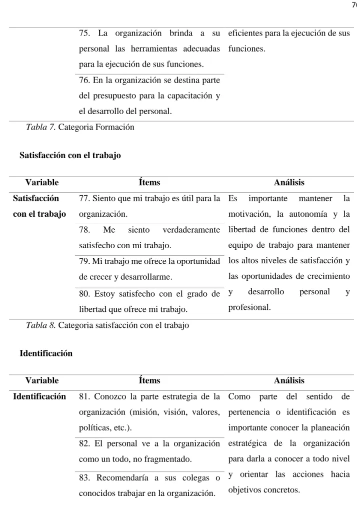 Tabla 7. Categoria Formación  