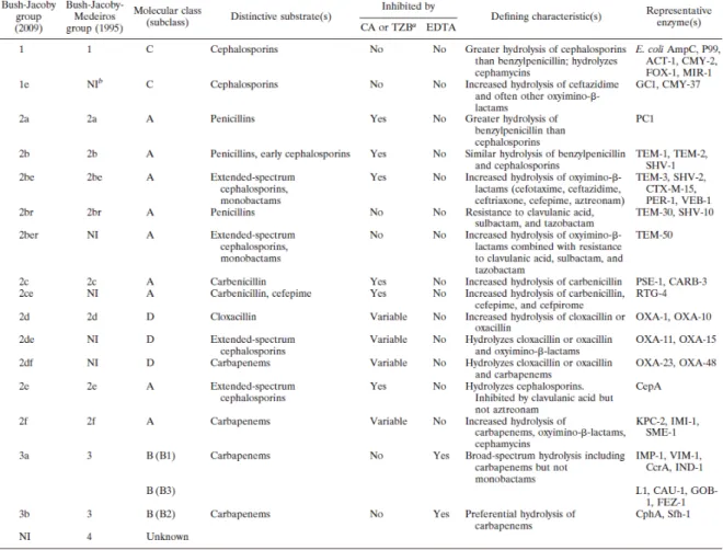 Figura 9. Clasificación de las β-lactamasas (Bush K et al, AAC, 2010). 