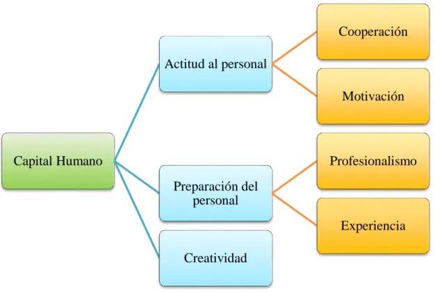Figura 5. Variables del Capital Humano 