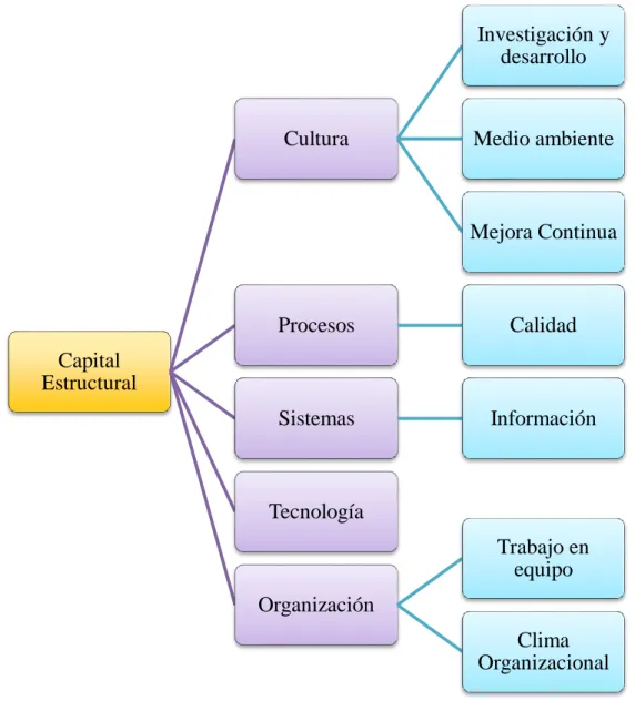 Figura 7. Componentes del Capital Estructural 