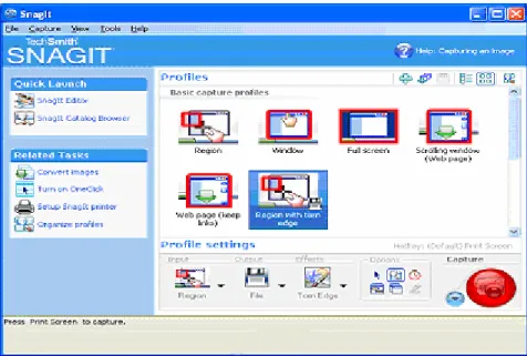 Figura 1.3 Opciones de Captura de la pantalla del SnagIt™. 