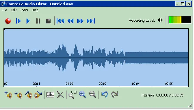Figure 2.3 Editor de audio del Camtasia Studio 2.1.2. 