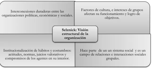 Figura 9. Visión del institucionalismo clásico de la organización de Selznick. 