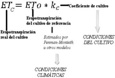Figura 3-1. Cálculo evapotranspiración.  