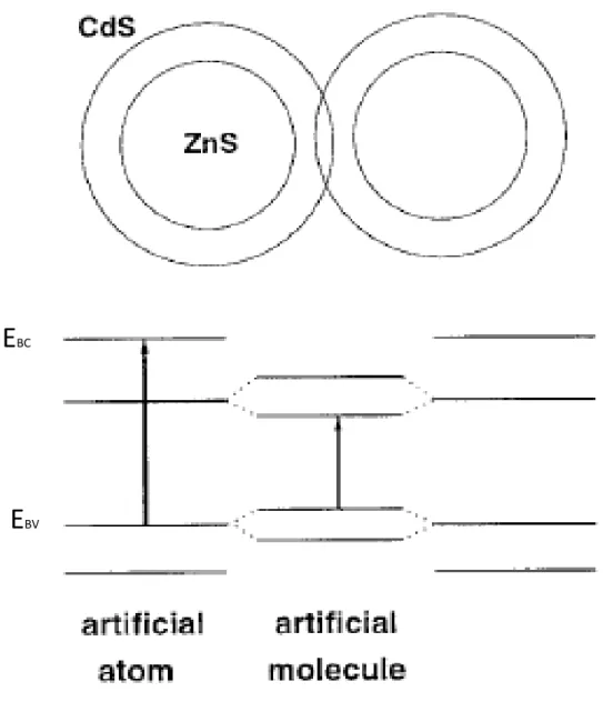 Fig.  1-4 5  Molécula artificial de dot homogéneos investigado. Los dos niveles más bajos de  BC y BV de un dot simple (izquierda y derecha) y dot doble (mitad)