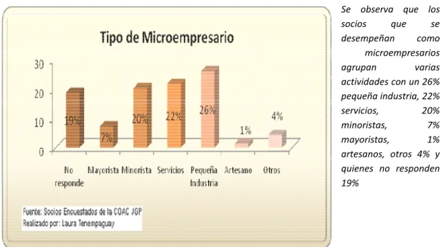 Gráfico 19: Tipo de Microempresario-CH 