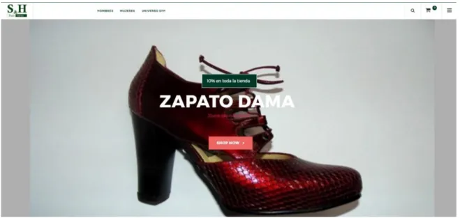 Figura 8. Canal de Venta Online. 