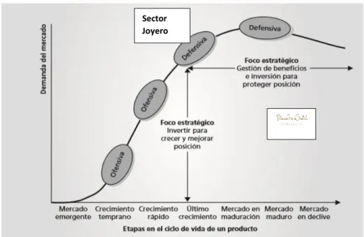 Gráfico 11: Ciclo de Vida 