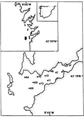 Fig. 1. Mapa de la Ría de Vigo mostrando las estacio- estacio-nes estudiadas.