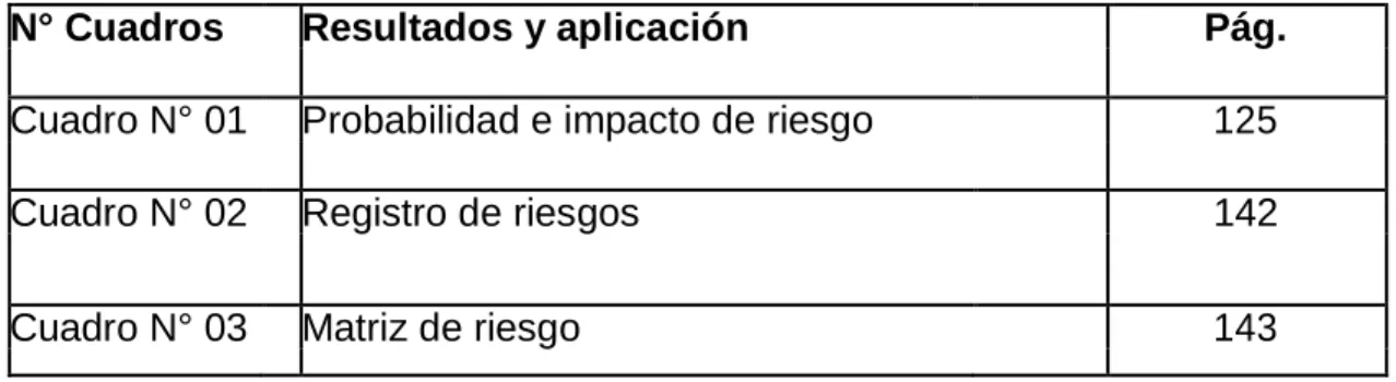 Cuadro N° 02  Registro de riesgos  142 