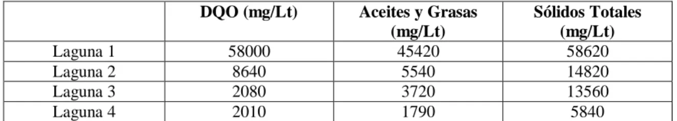 Tabla 10-3: Caracterización de los efluentes en las lagunas 