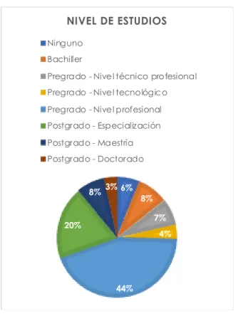 Figura 11. Nivel de estudios. 