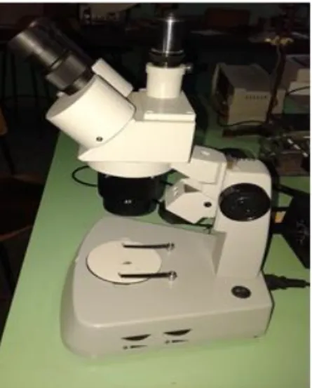 Figura 2.5. Microscopio de bajo aumento. 