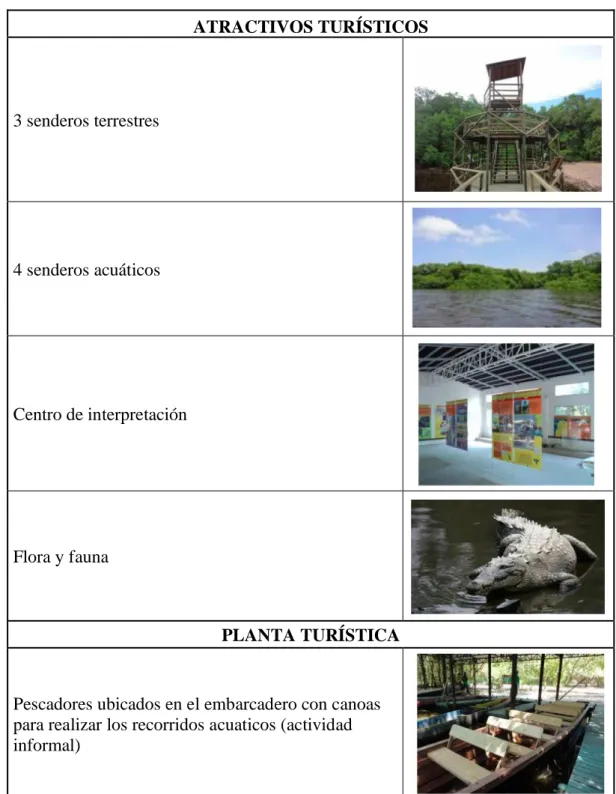 Tabla 9.  Micro-cluster  ATRACTIVOS TURÍSTICOS   3 senderos terrestres  4 senderos acuáticos  Centro de interpretación  Flora y fauna  PLANTA TURÍSTICA  