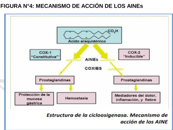 FIGURA N°4: MECANISMO DE ACCIÓN DE LOS AINEs 