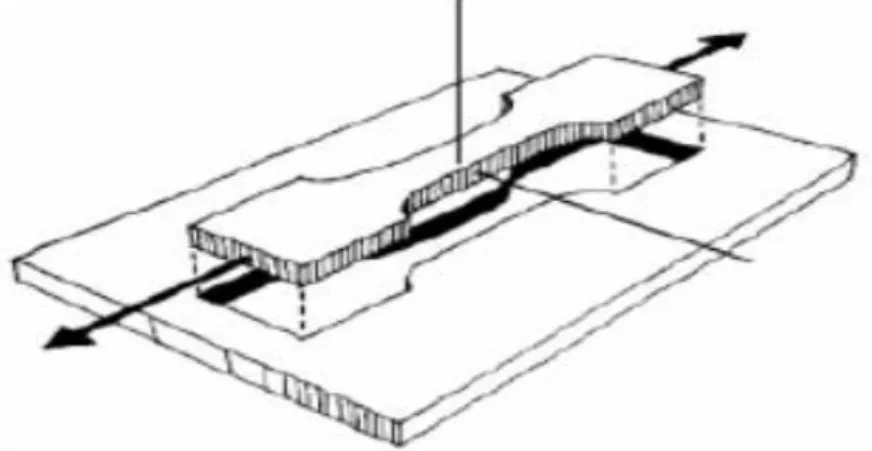 Figura 8.   Dimensionamiento de la probeta.  