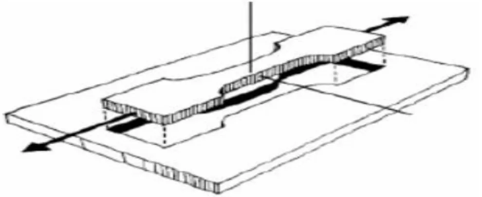 Figura 2.  Dimensionamiento de la probeta.  