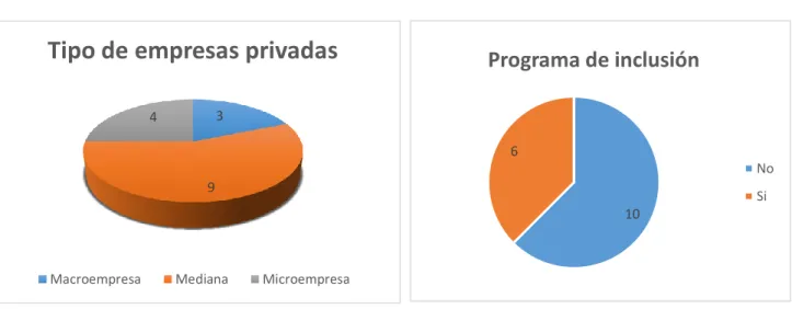Figura 3. Programas de inclusión