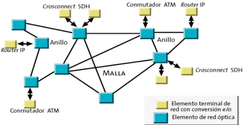 Fig. 1.2: Esquema de red óptica independiente. [3] 