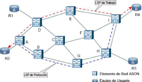 Fig. 2.9: Servicio de Diamante. [23] 