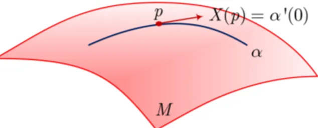 Figura 1.1.2: α es la curva integral de X ∈ X r (M ) tal que en todo punto verica α 0 (t) = X(α(t))