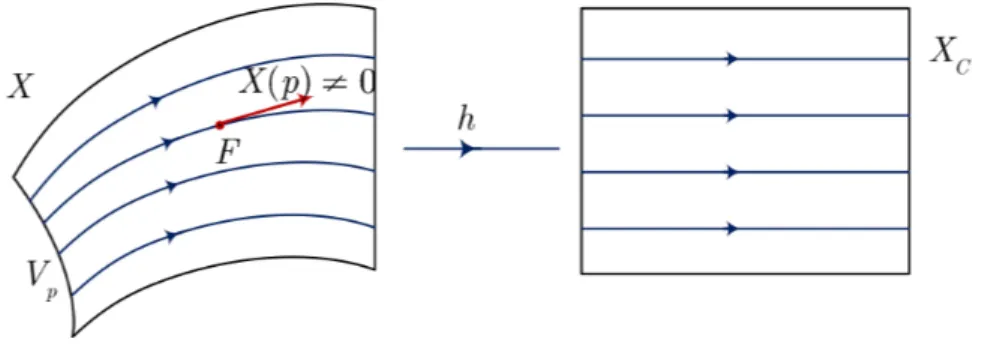 Figura 1.1.4: Teorema del ujo tubular