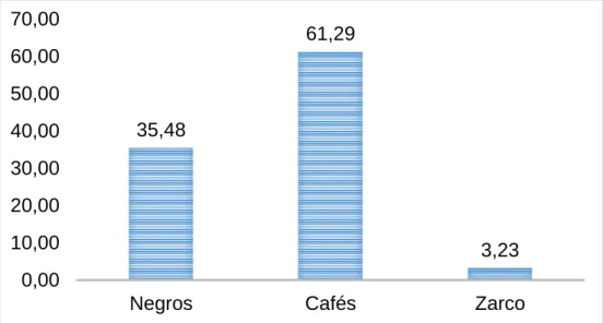 Gráfico 3. Color de ojos 