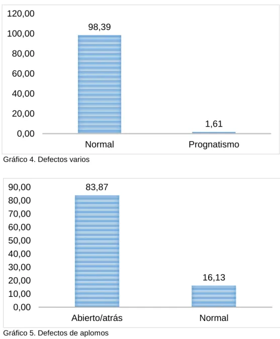 Gráfico 4. Defectos varios 