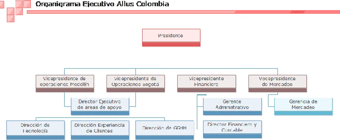 Figura 1. Organigrama Ejecutivo Allus Colombia 