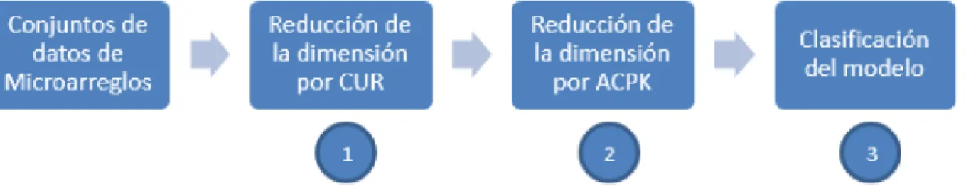 Figura 2.2: “Diagrama de la Metodología Propuesta - DRDNL”