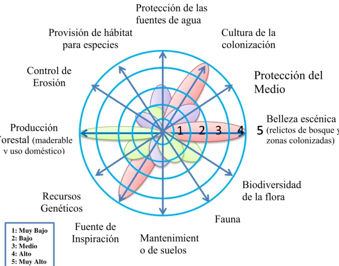 Figura 2: Estado de conservación del bosque Andino del municipio de Vélez 