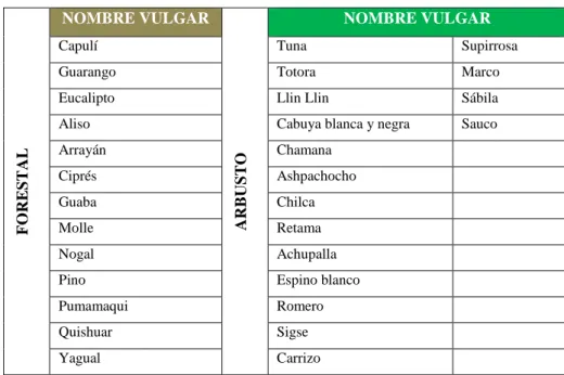 Tabla 8-1: Flora 