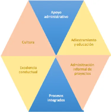 Figura 4. Hexágono de la excelencia 
