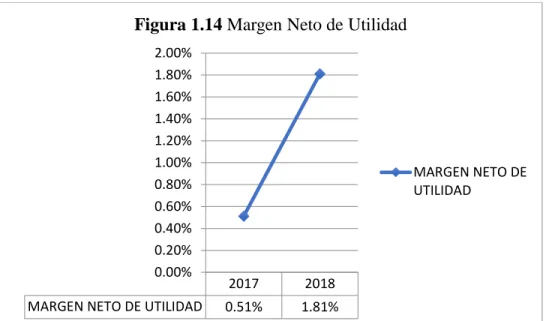 Figura 1.14 Margen Neto de Utilidad