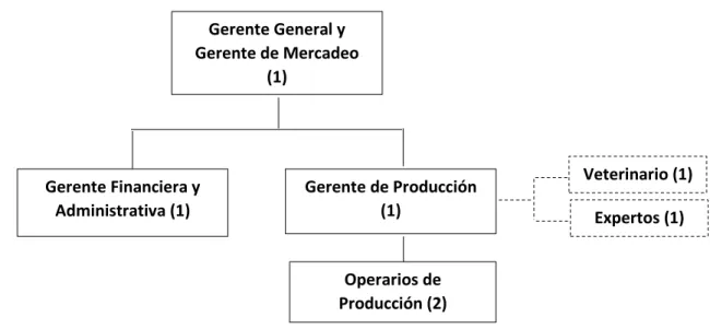 Ilustración 6. Organigrama 