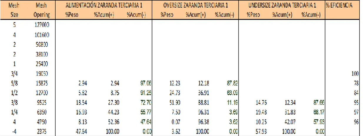 Tabla 2.6. Análisis Granulométrico Zaranda Terciaria 1 