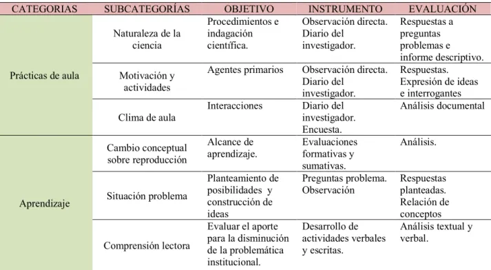 Tabla No 3: Categorías para el análisis de la intervención. 