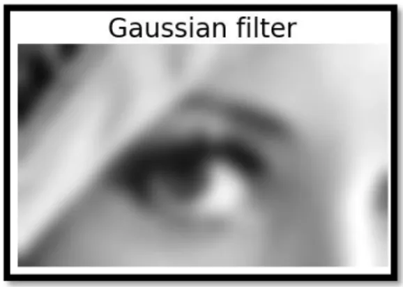 Figura 11-1 Filtro Gaussiano 