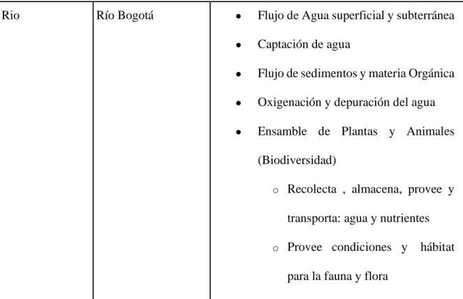 Tabla 2.  Funciones de los Elementos representativos de la RTVDH en torno al agua› Adaptado de: (CAR,  2014), ( CAR, Thomas Van Der Hammen, 1998), (Evaluación de los Ecosistemas del Milenio (EM), 2005), 