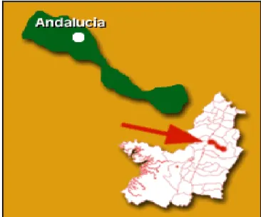 Figura 5. Municipio de Andalucía. Datos obtenidos de Gobernación del Valle del Cauca  (2015,p.2) 