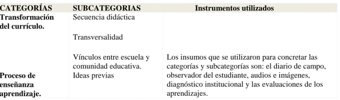 Tabla 6. Categorías, subcategorías e instrumentos de análisis de datos. 