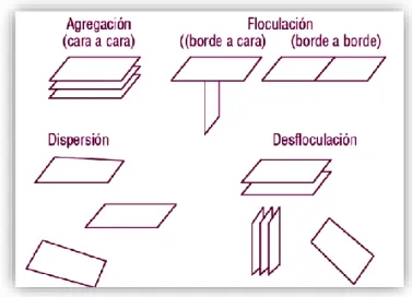 Figura 15: Asociación de las arcillas 