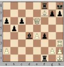 Figura 6-1: Posición final del mate del pasillo 