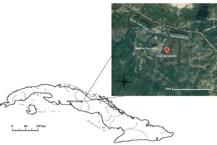 Figura  4.  Ubicación  geográfica  del  área  de  estudio  en  Cerro  de  Pelo  Malo,  Santa  Clara,  Villa  Clara,  Cuba