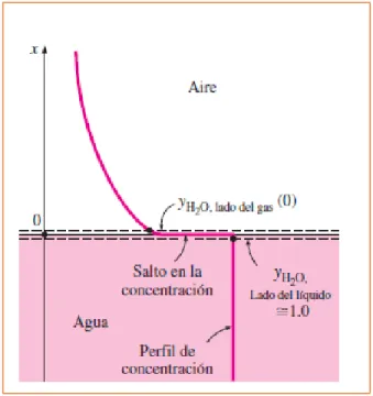 Gráfico 13  Variación de la concentración en una interface gas-líquido