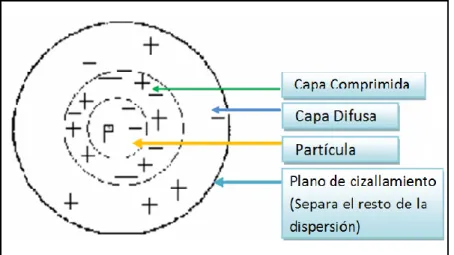 Figura 3.3. Doble capa de una partícula coloidal 