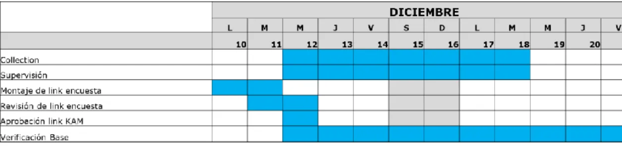 Tabla 2. Cronograma de campo (fuente datexco) 