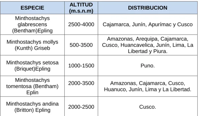 Tabla 2.1 La muña en el Perú 
