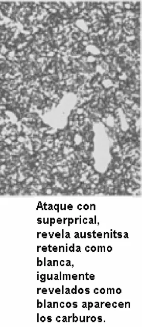 Fig. 1.2.2: Metalografía del acero D2 (1000x). 
